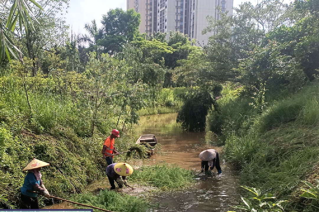 春季绿化养护清理杂草