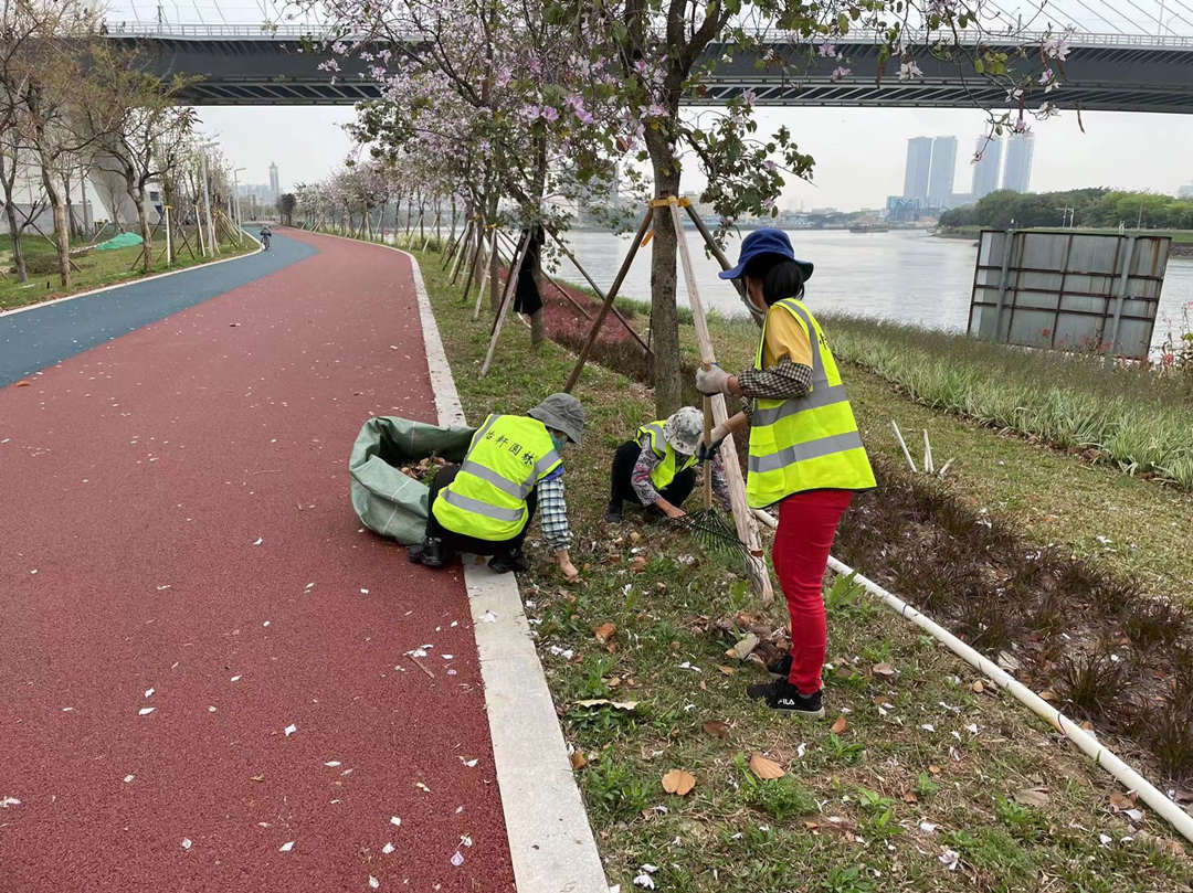 东平水道绿化养护清理垃圾