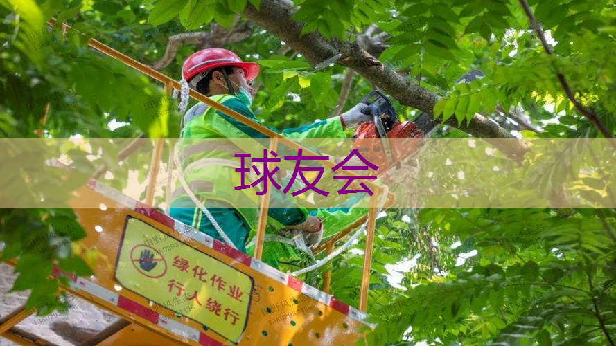 枝江绿化市容林业网