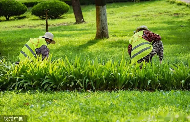 绿化工程施工垫资方案范本 绿化工程施工垫资方案范本