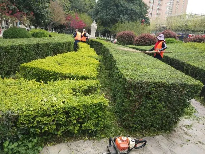 广元绿化资质取消了并入市政吗