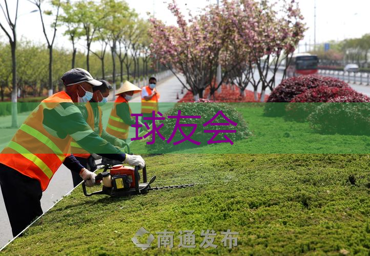 鲁中大街改造绿化工程
