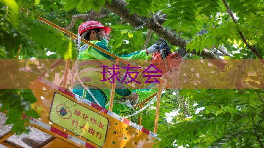 道路绿化工程融资成功案例 道路绿化工程融资成功案例