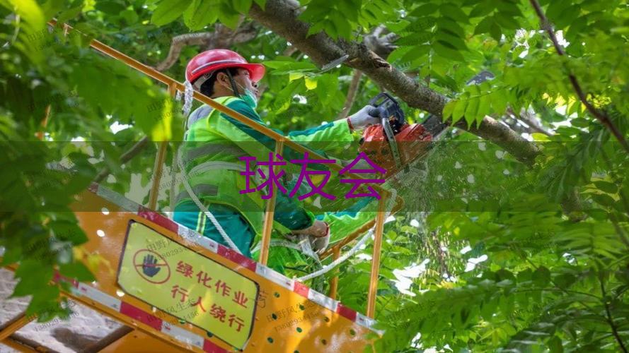 现代风格园林景观设计特点分析 现代风格园林景观设计特点分析