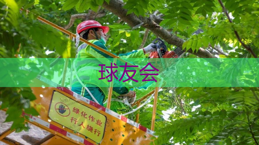 传统欧式园林景观设计 传统欧式园林景观设计