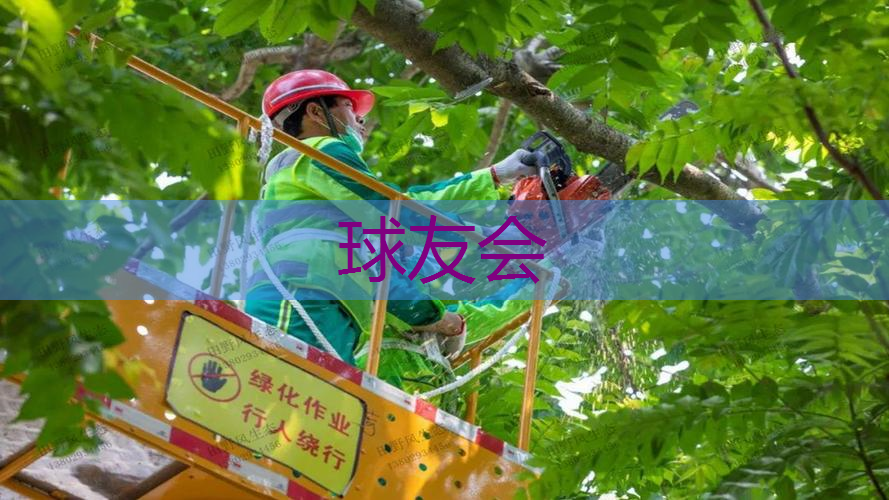 松江区草坪绿化工程报价单