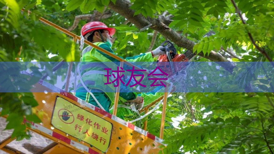 美国为啥不搞绿化工程