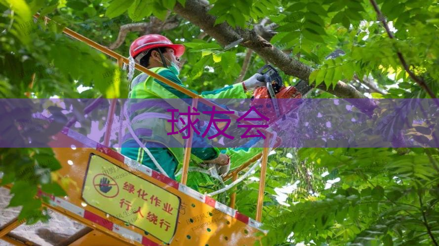 落后的园林管理之困：绿地荒芜，街头巷尾灌木疯长！