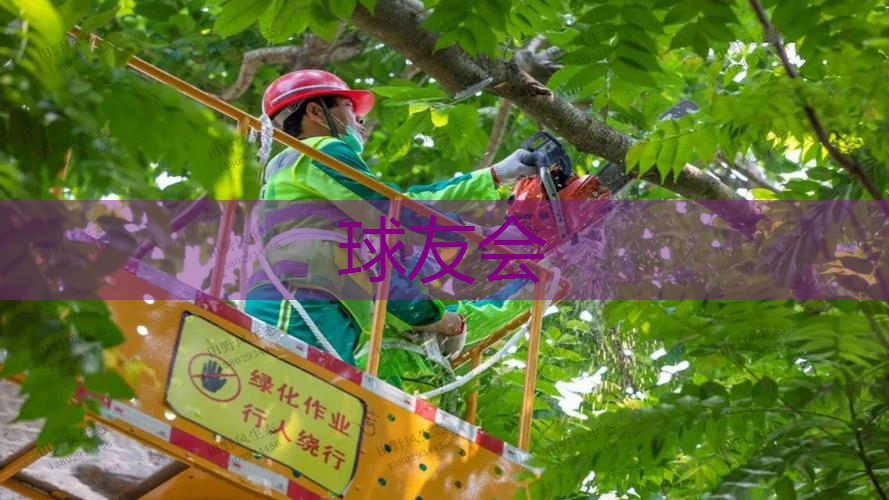 现代小范围园林景观设计