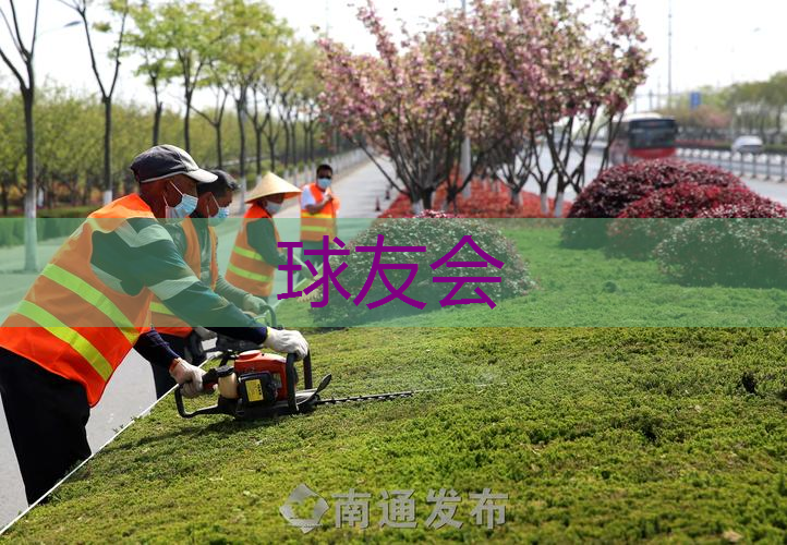 汉阳区优势园林绿化工程施工管理 汉阳区优势园林绿化工程施工管理